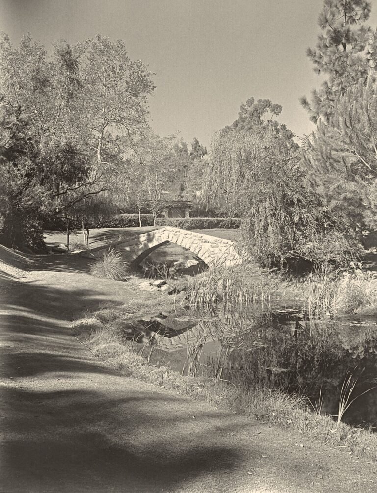 2371.photcl 4151061resized 1 768x1005