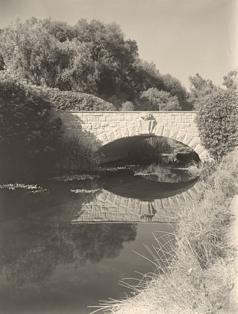 2371.photcl 4151066resized 1 768x1013