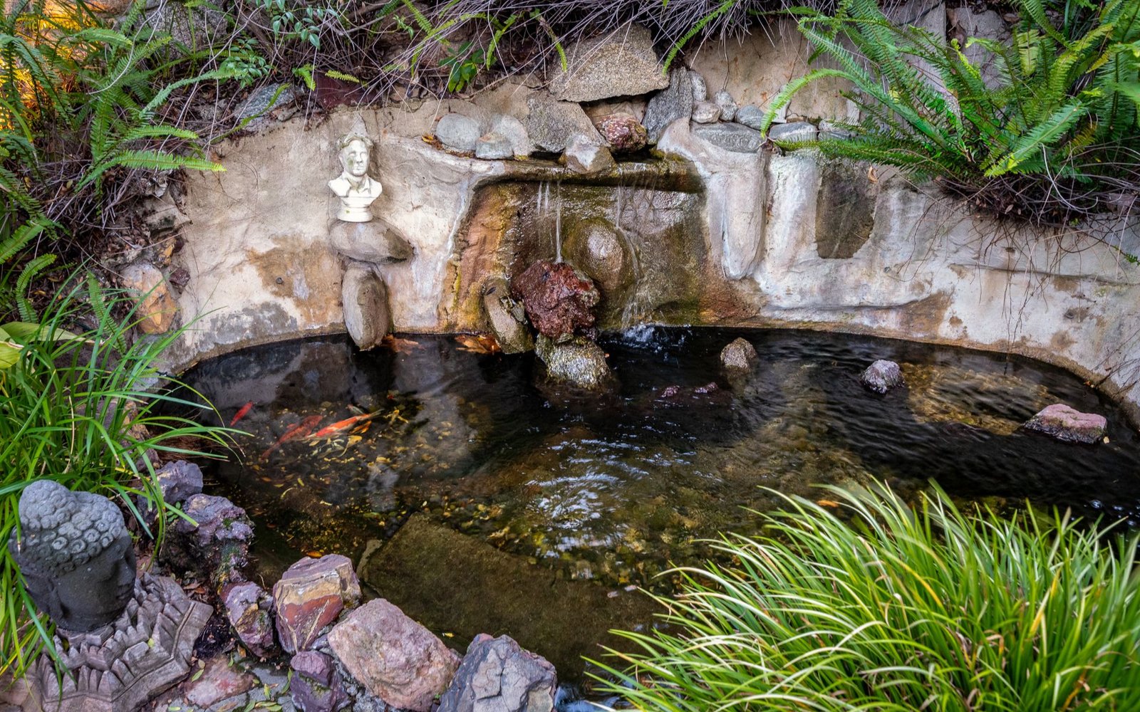 8066-Woodland-Ln_18_h_018_Woodland_Pond