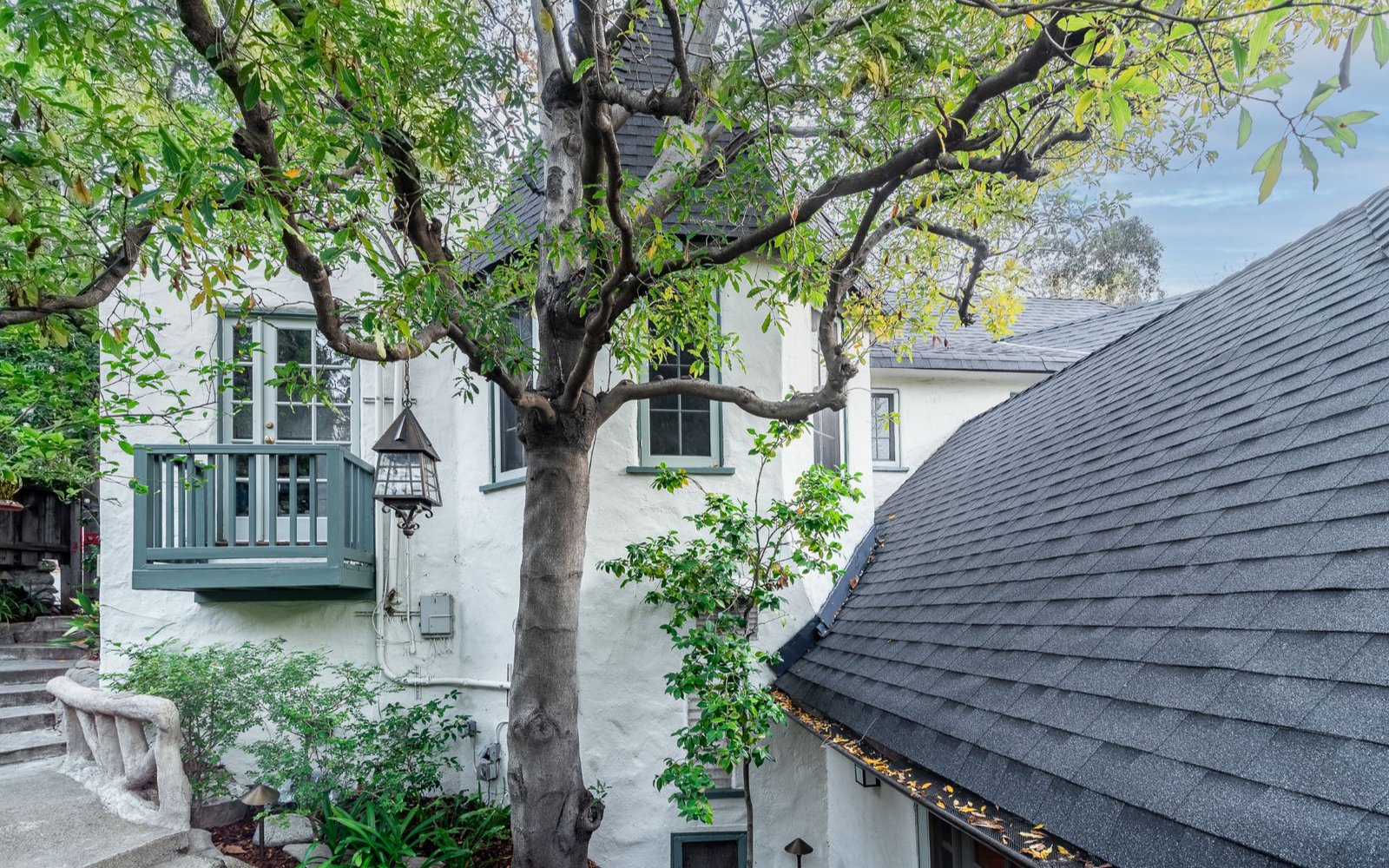 8066-Woodland-Ln_5_h_005_Woodland_House-Tree